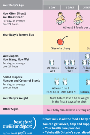 Breastfeeding — Middlesex-London Health Unit